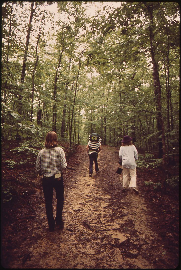 Bankhead National Forest Trip Packages