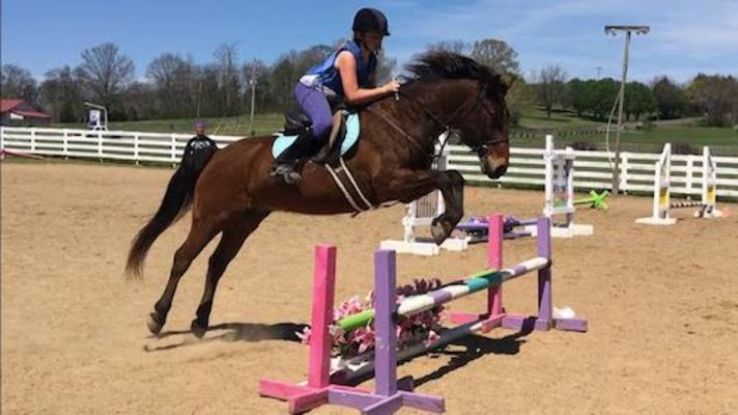 Creekside Riding Academy & Stables Trip Packages