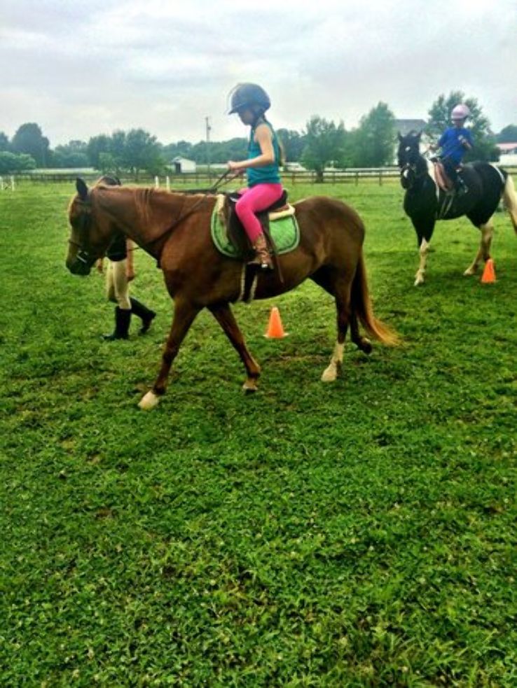 Creekside Riding Academy & Stables Trip Packages