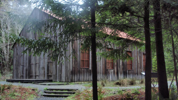 Headwaters Forest Reserve Trip Packages