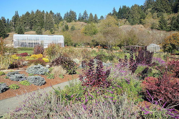 Humboldt Botanical Garden Trip Packages