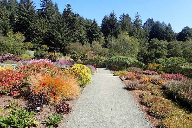 Humboldt Botanical Garden Trip Packages