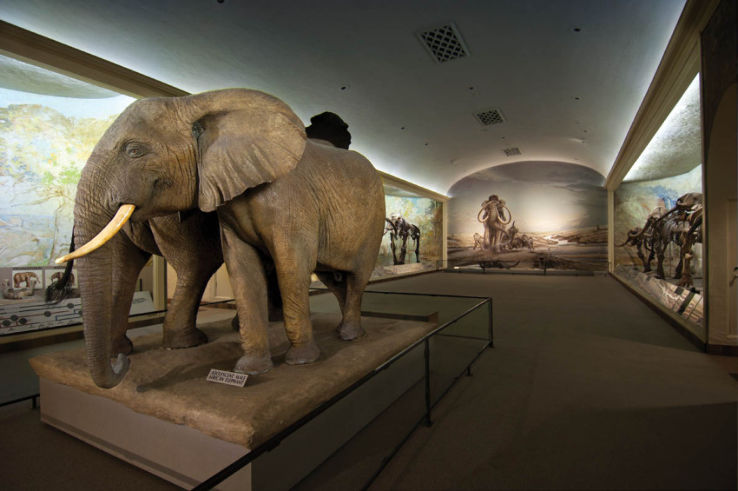 the Nebraska State Museum Trip Packages