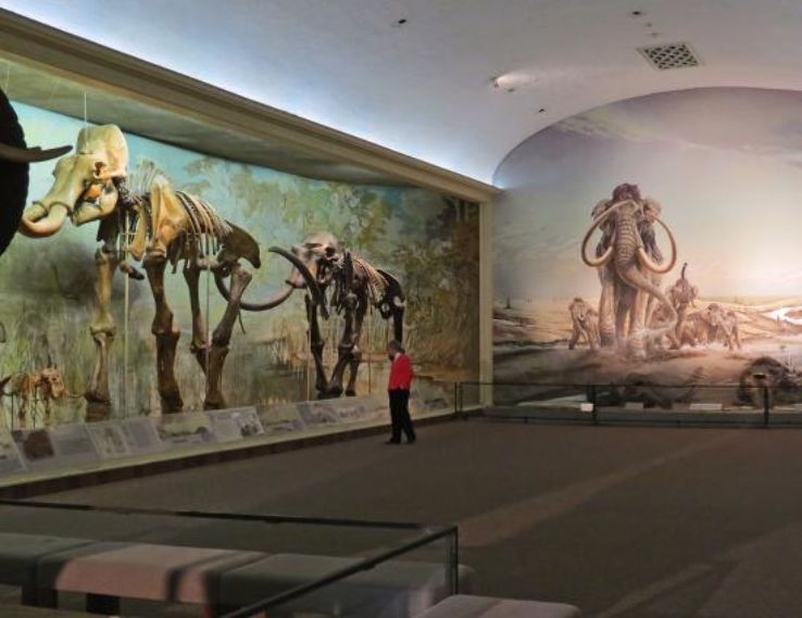 the Nebraska State Museum Trip Packages
