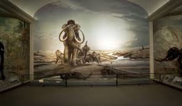 the Nebraska State Museum Trip Packages