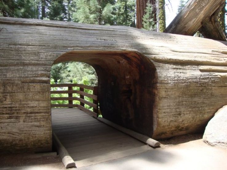 Sequoia Park Forest & Garden Trip Packages