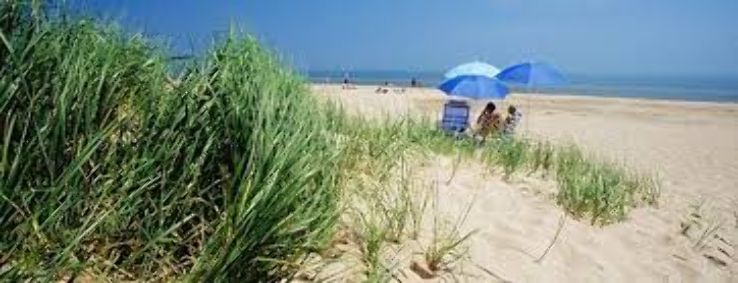 Kohler Park Dunes State Natural Area Trip Packages