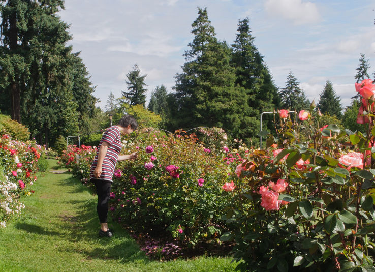 International Rose Test Garden Trip Packages