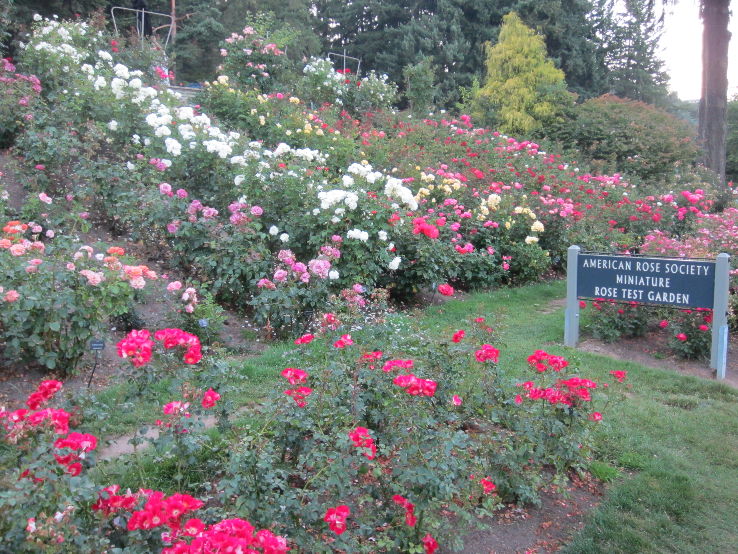 International Rose Test Garden Trip Packages
