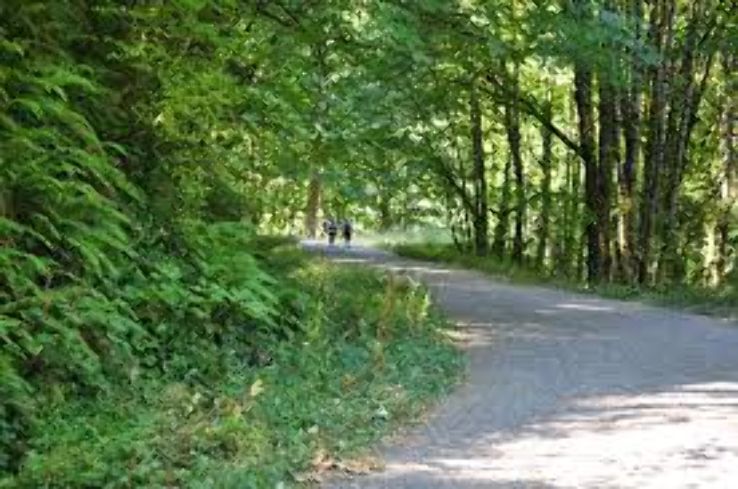  Forest Park  Trip Packages