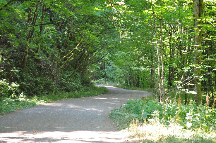  Forest Park  Trip Packages