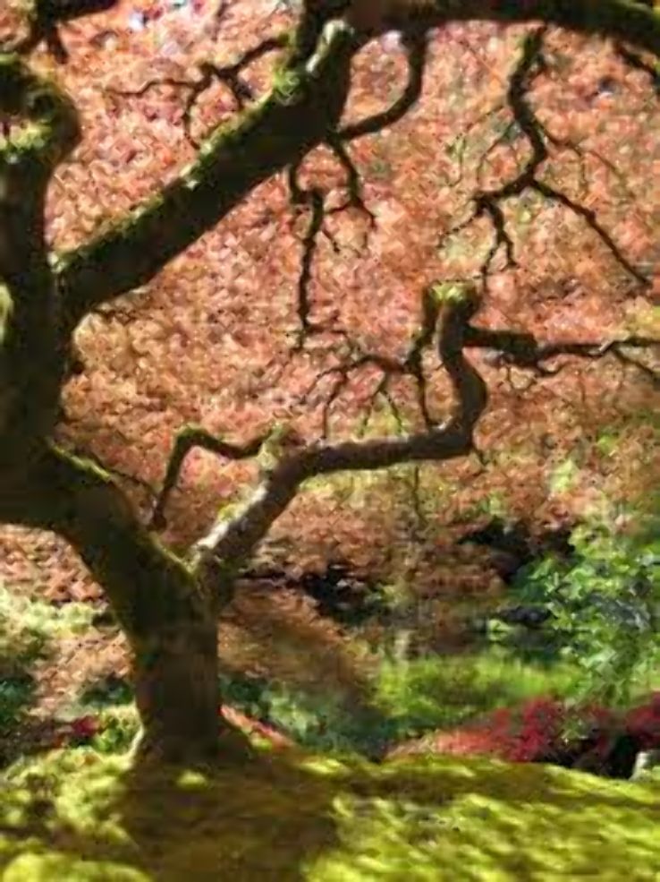 Portland Japanese Garden  Trip Packages