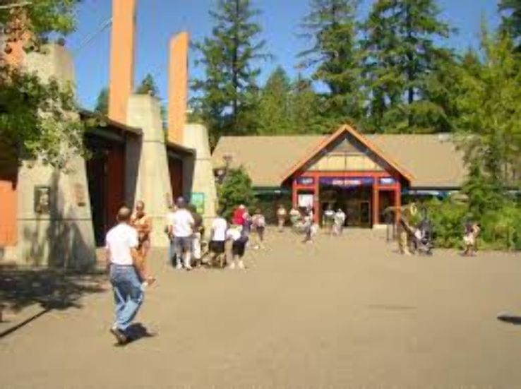  Oregon Zoo Trip Packages