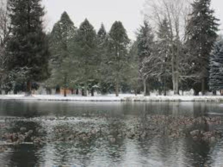 Crystal Springs Rhododendron Garden  Trip Packages