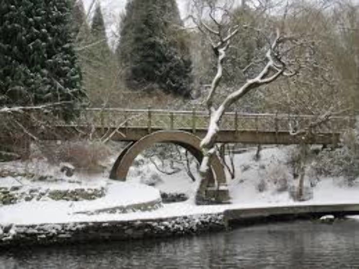 Crystal Springs Rhododendron Garden  Trip Packages