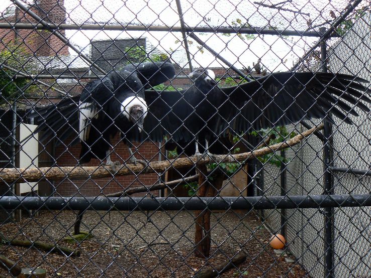 National Aviary Trip Packages