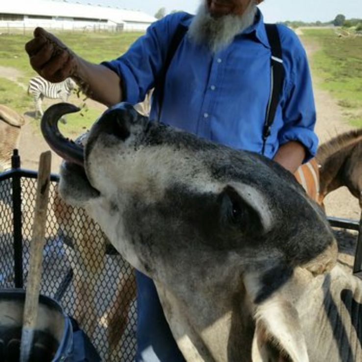 Dutch Creek Farm Animal Park Trip Packages