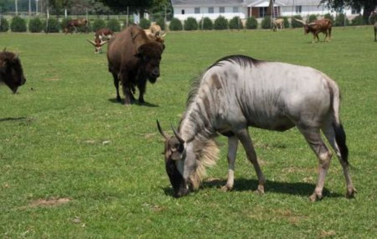 Dutch Creek Farm Animal Park Trip Packages