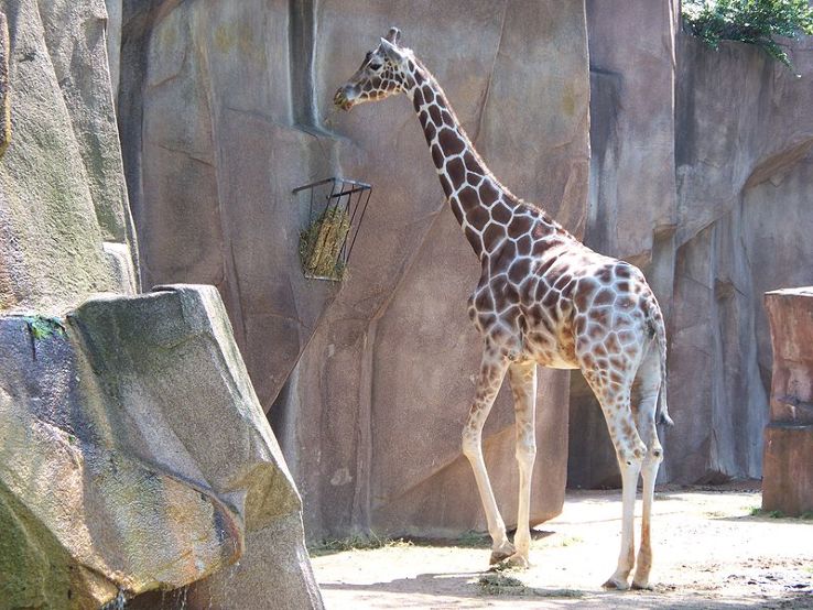 Milwaukee County Zoo  Trip Packages