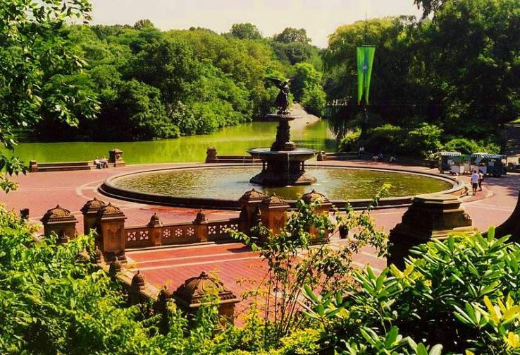 Central Park Zoo Manhattan Trip Packages