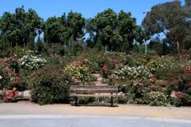 Heritage Rose Garden Trip Packages