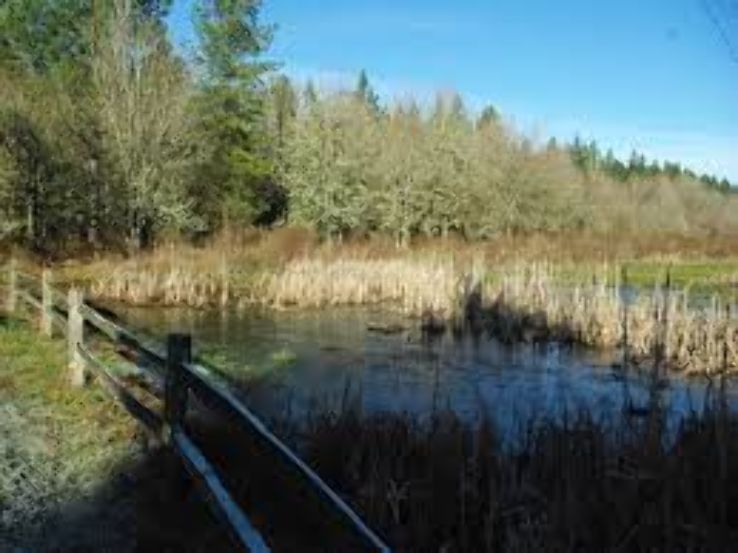 Tualatin Hills Nature Park  Trip Packages