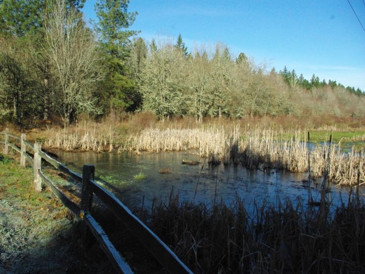 Cooper Mountain Nature Park Trip Packages