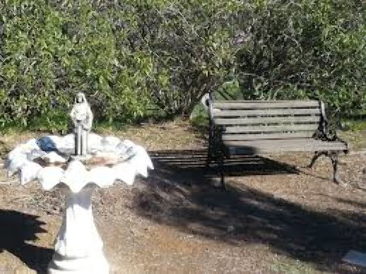 Alum Rock Park Trip Packages