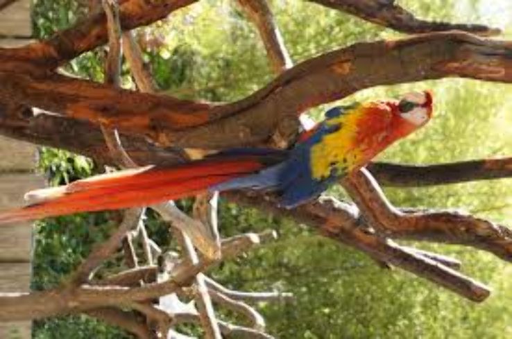 Happy Hollow Park   Zoo Trip Packages