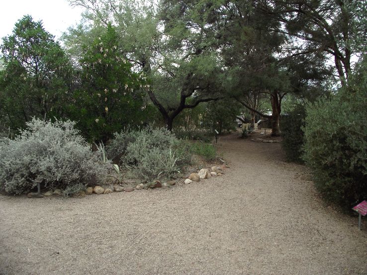 Tucson Botanical Gardens Trip Packages