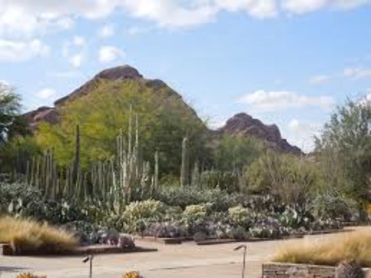 Tucson Botanical Gardens Trip Packages