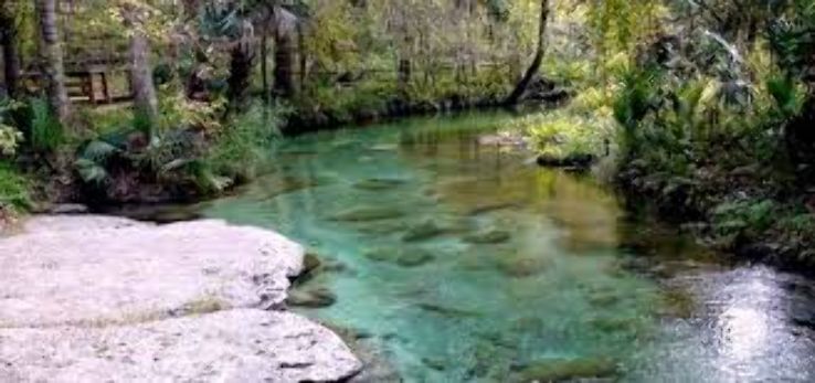 Kelley Park Trip Packages