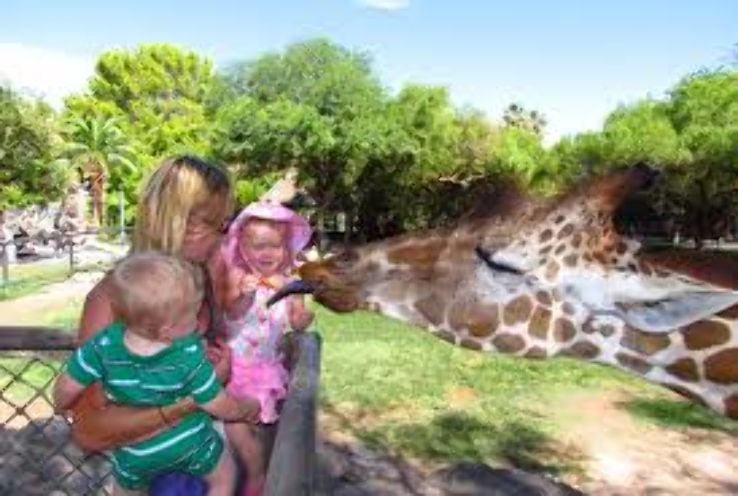 Reid Park Zoo Trip Packages