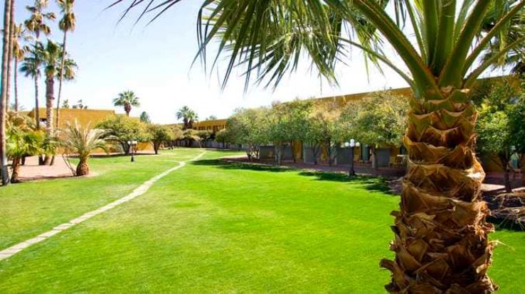 Reid Park Trip Packages