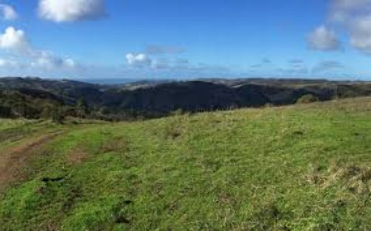 The Santa Cruz Mountains Trip Packages