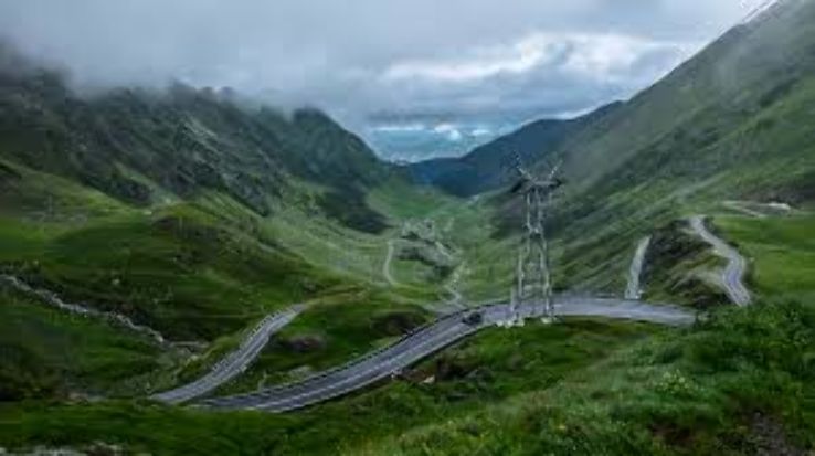 The Santa Cruz Mountains Trip Packages