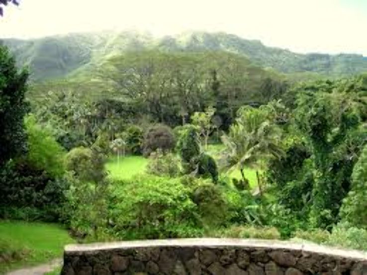 Lyon Arboretum and Manoa Falls  Trip Packages