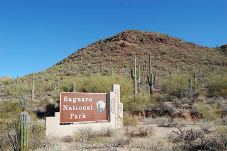 Saguaro National Park -East and West Trip Packages