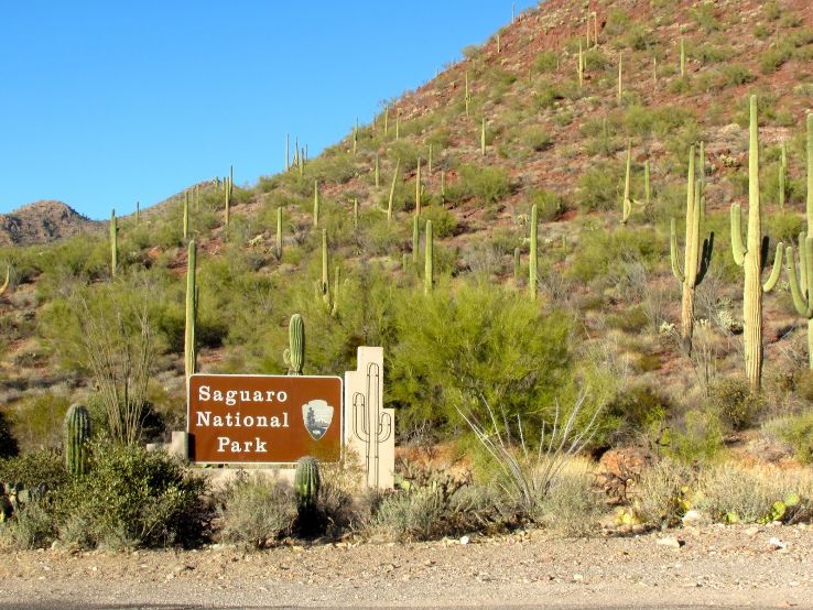 Saguaro National Park -East and West Trip Packages