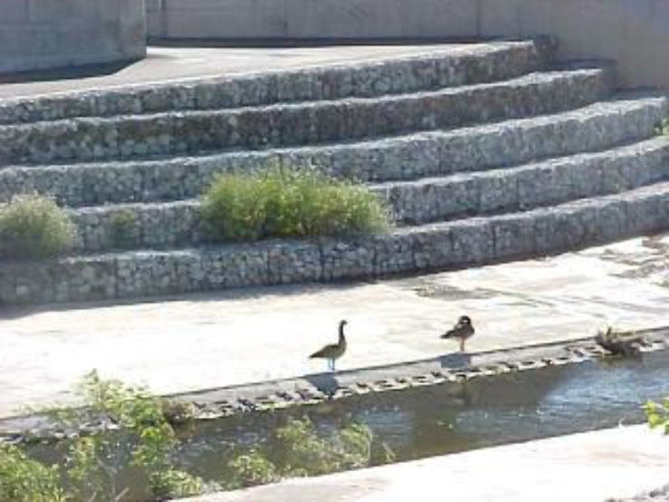 Guadalupe River Trip Packages