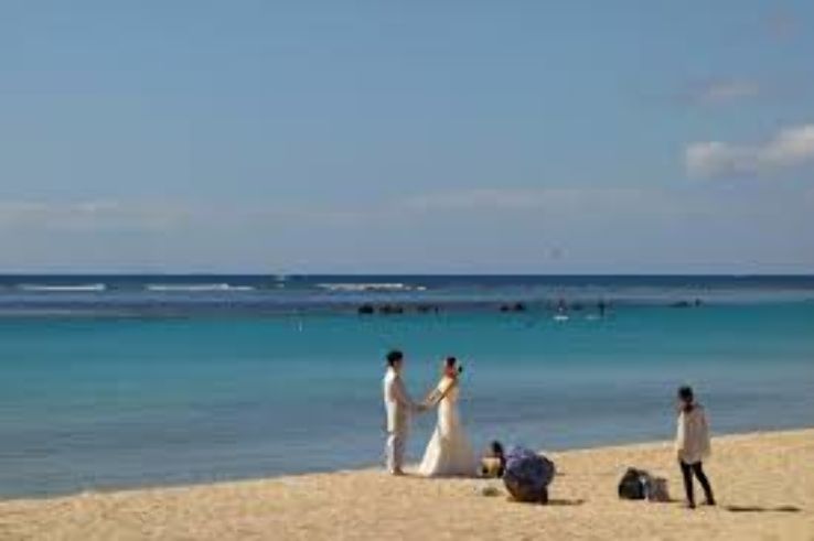 Ala Moana Park  Trip Packages