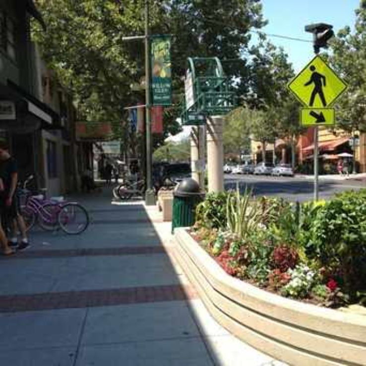 Willow Glen Trip Packages