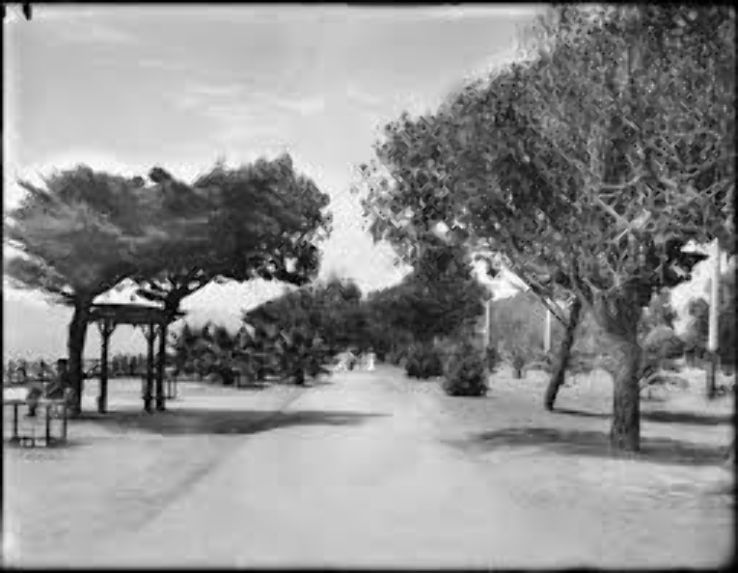 Palisades Park Trip Packages