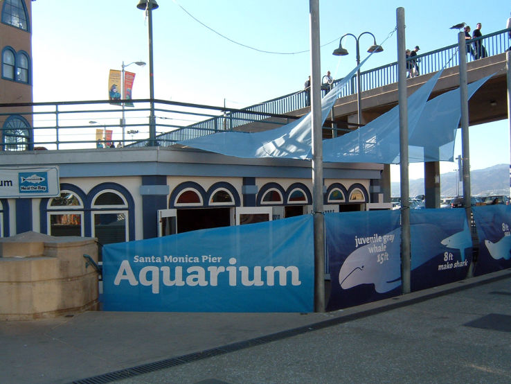 Santa Monica Pier Aquarium Trip Packages