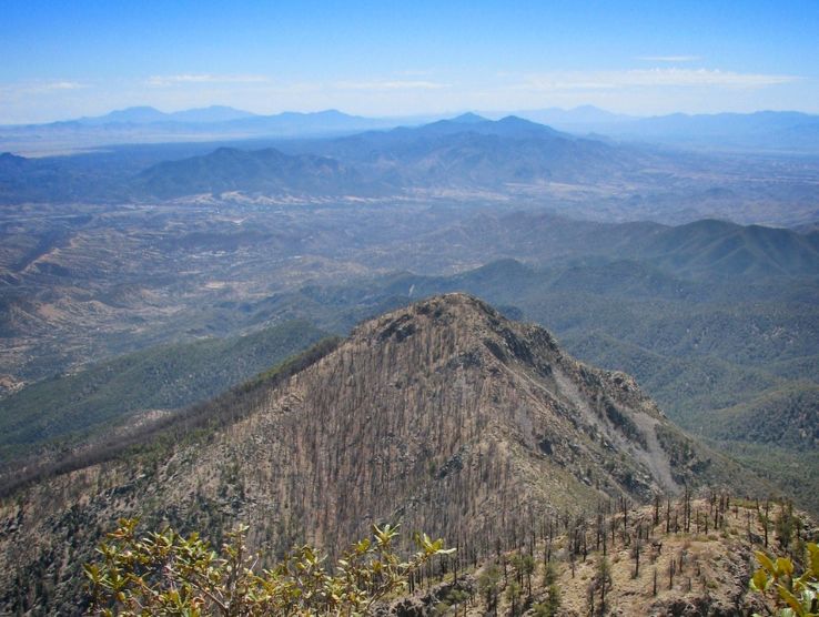 Mount Wrightson-Coronado National Forest Trip Packages