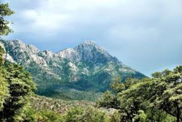 Mount Wrightson-Coronado National Forest Trip Packages