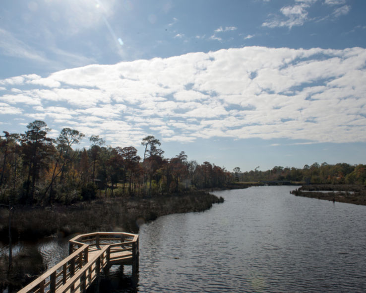 Pascagoula River Audubon Center Trip Packages