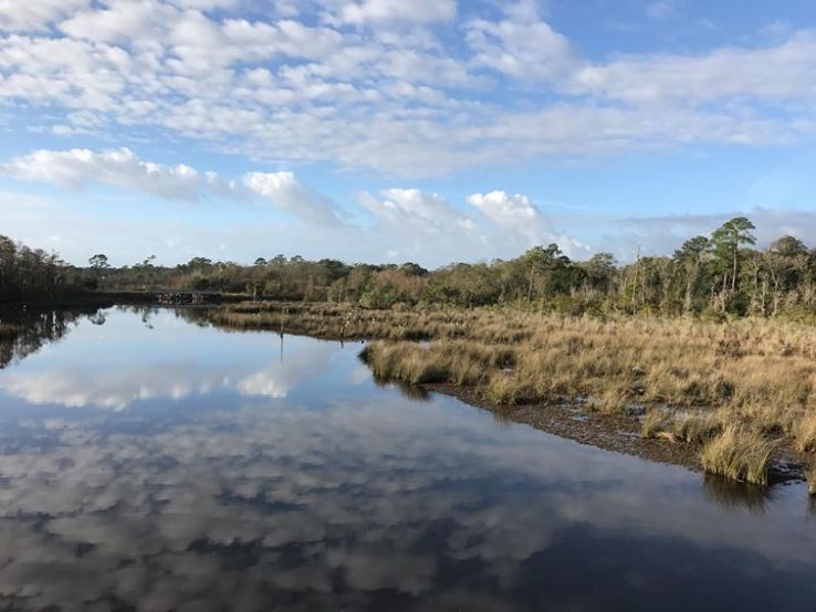 Pascagoula River Audubon Center 2021, #2 top things to do in moss point