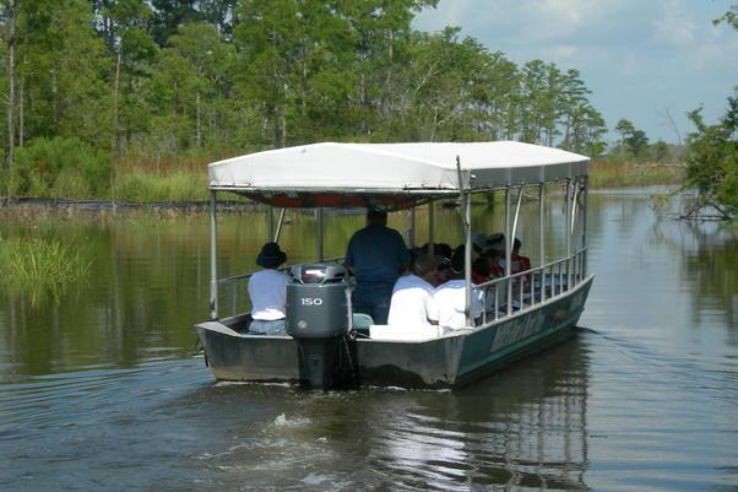 McCoys River and Marsh Tours Trip Packages