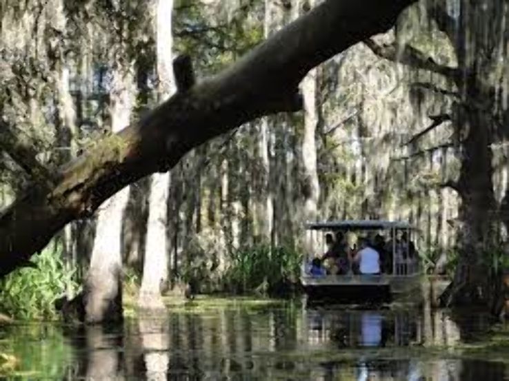 McCoys River and Marsh Tours Trip Packages